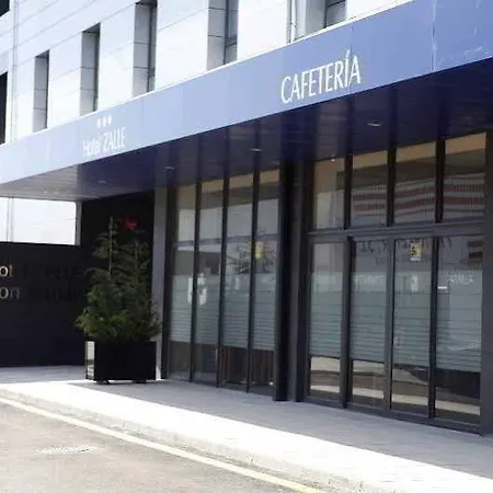 ホテル Zalle Don Fernando 3*