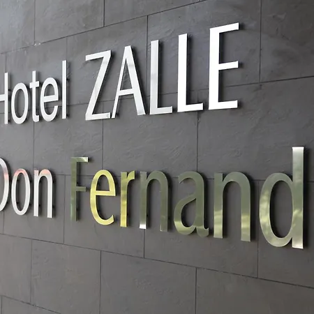 ホテル Zalle Don Fernando 3*